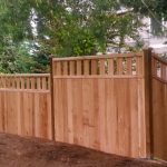 Cedar Fence