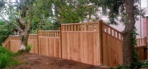 Cedar Fence
